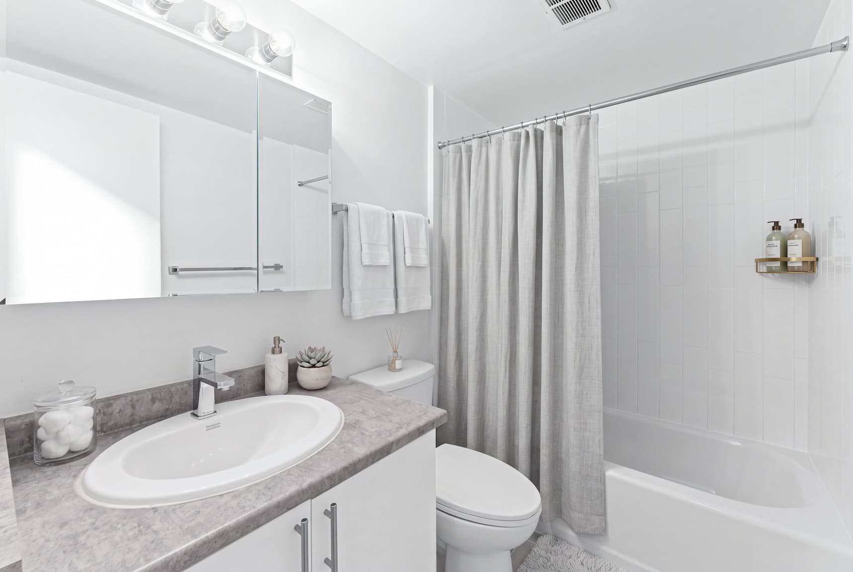 170 Sentinel Rd. — 2 Bedroom - Photo 4