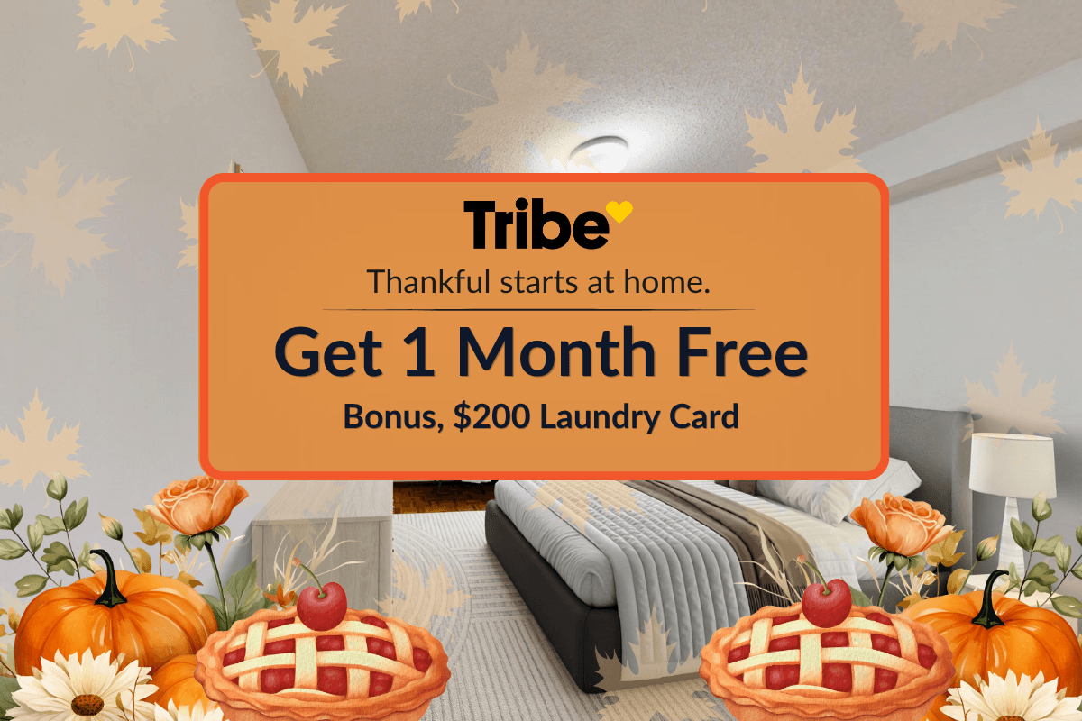Alban Apartments - 3710 Keele — Jr 2 Bedroom - Get 1 Month Free