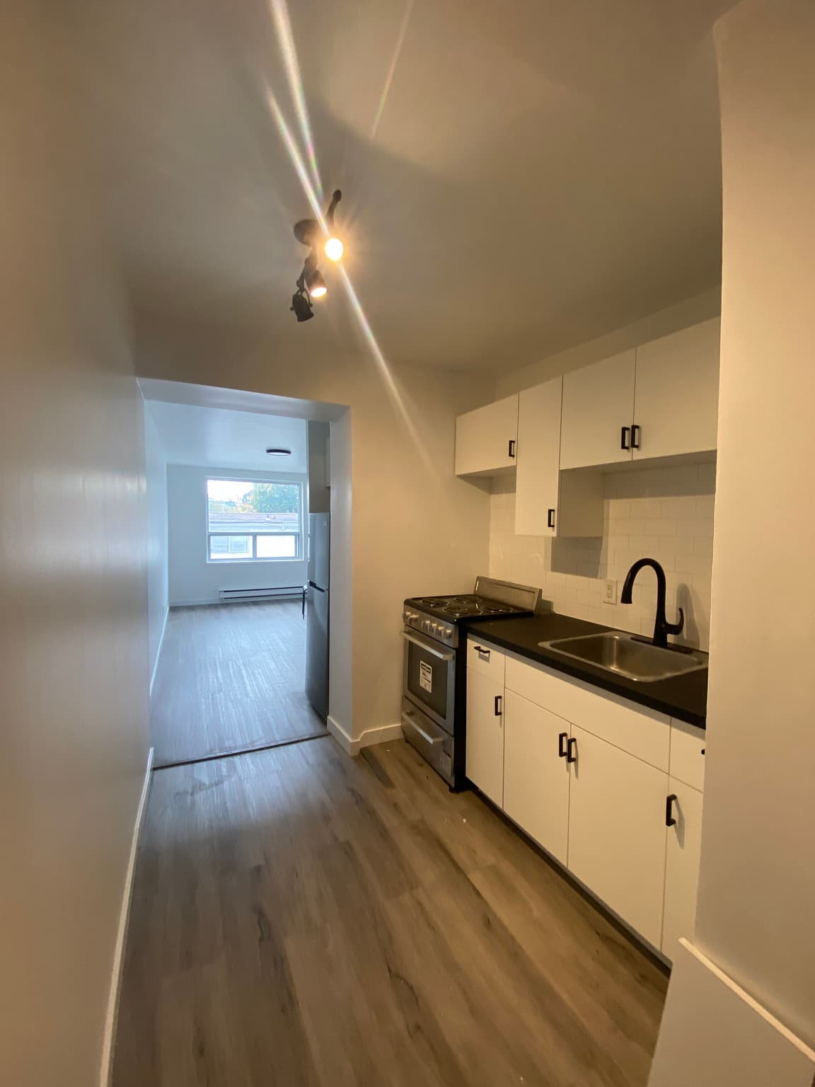 229 Carlton Street — Junior 1 Bedroom