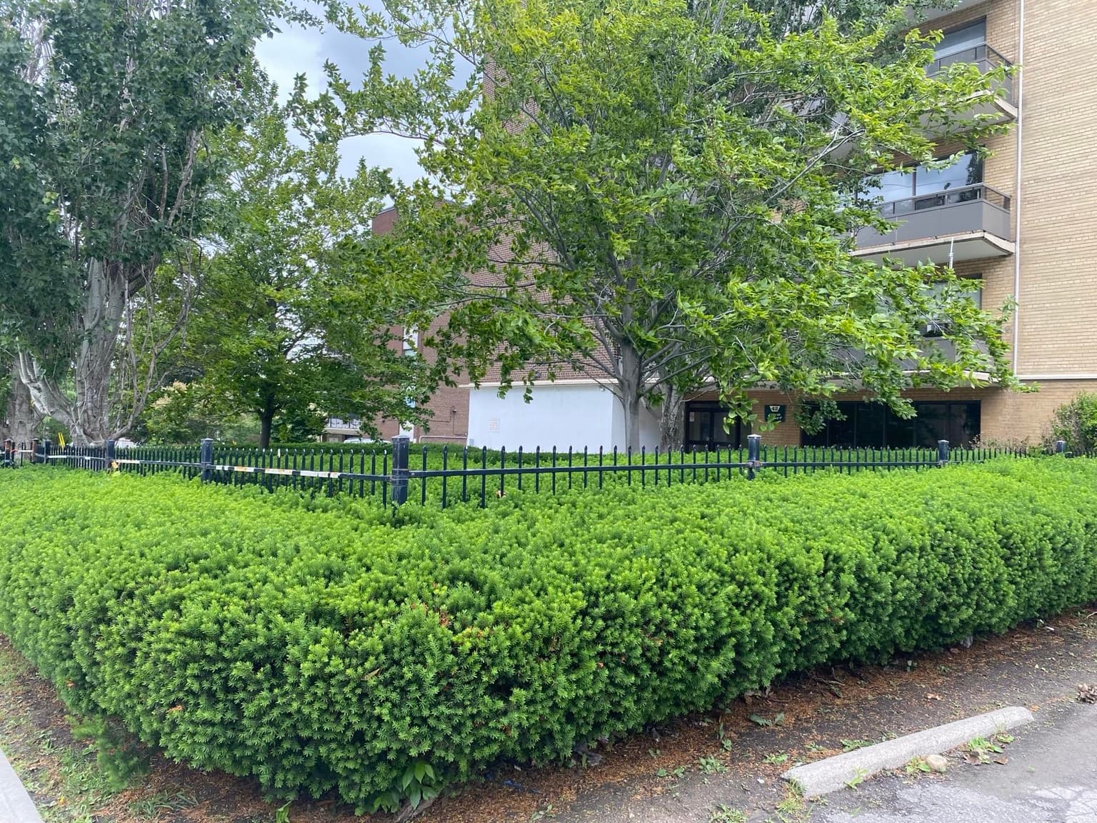 42 Gulliver Road - Photo 9
