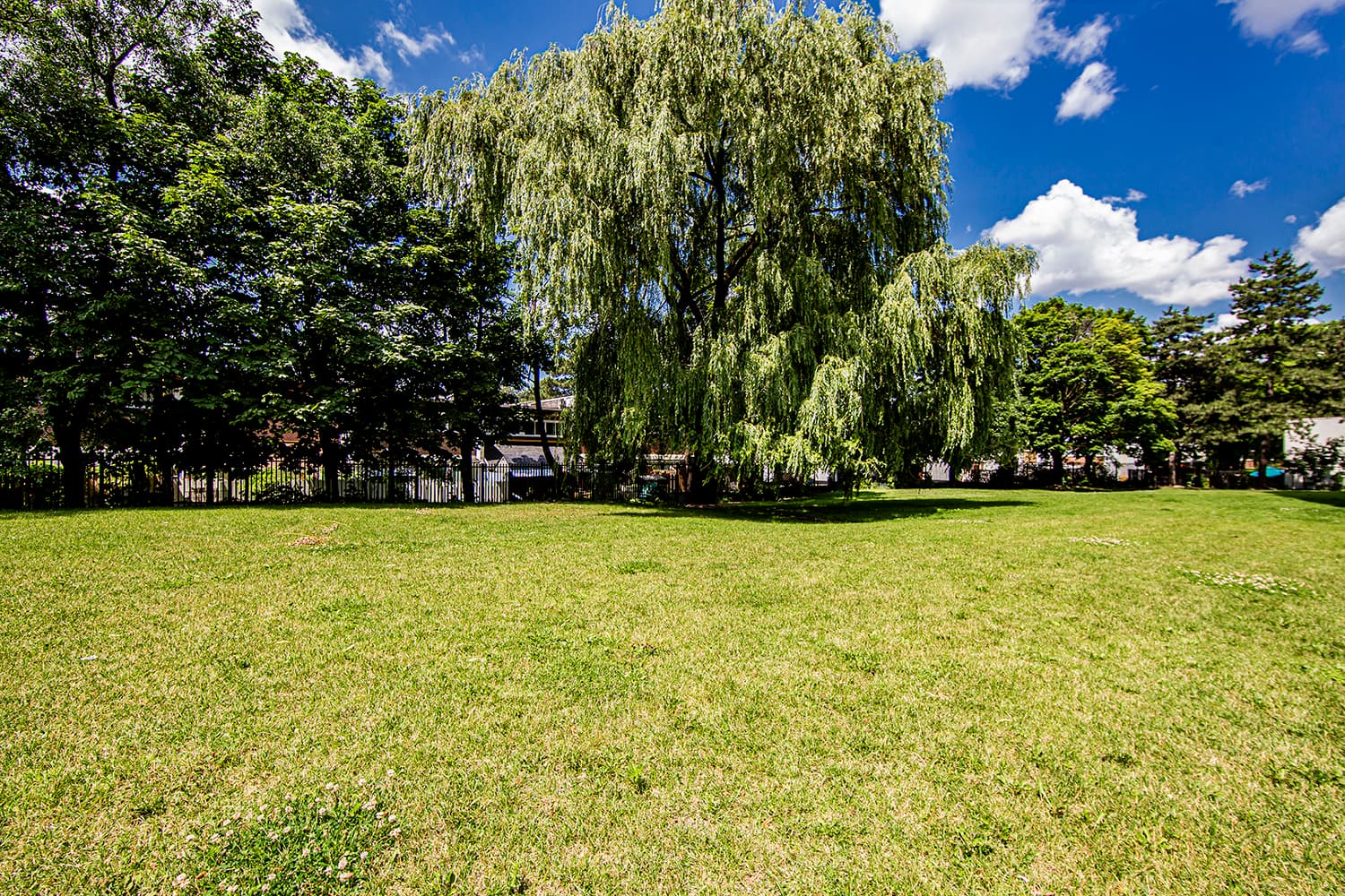 Hazelview Properties — 1 Bed - Photo 12
