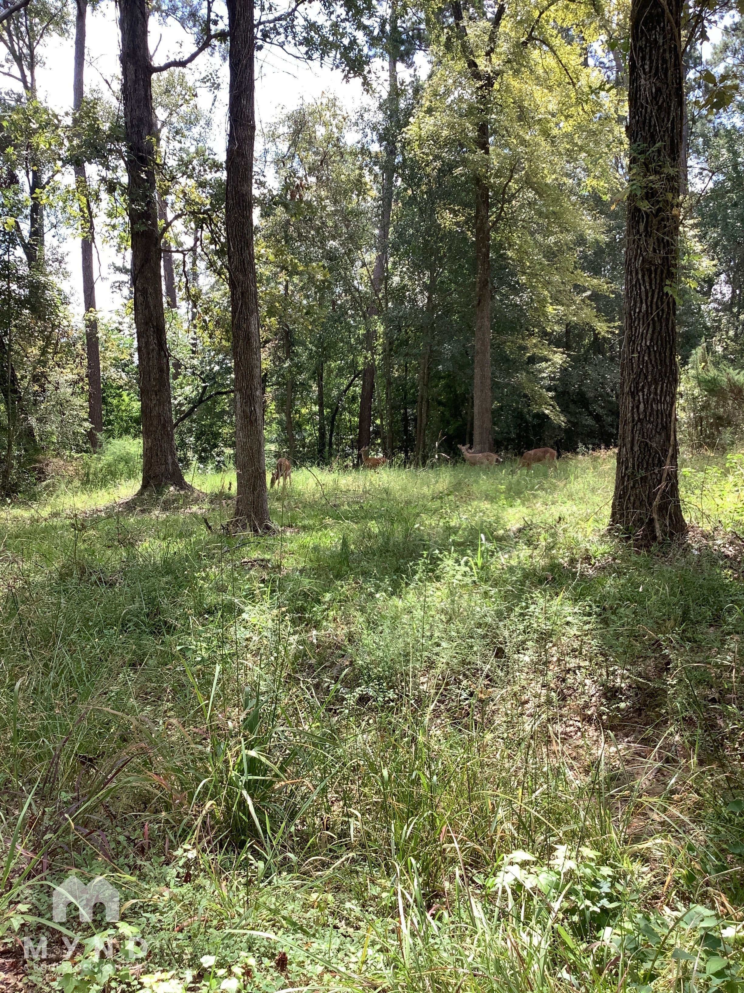 MYND - Photo 23
