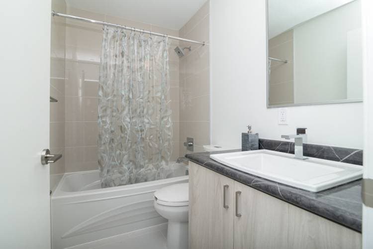 Maple Leaf PM — 2Bed 1Bath - Photo 21