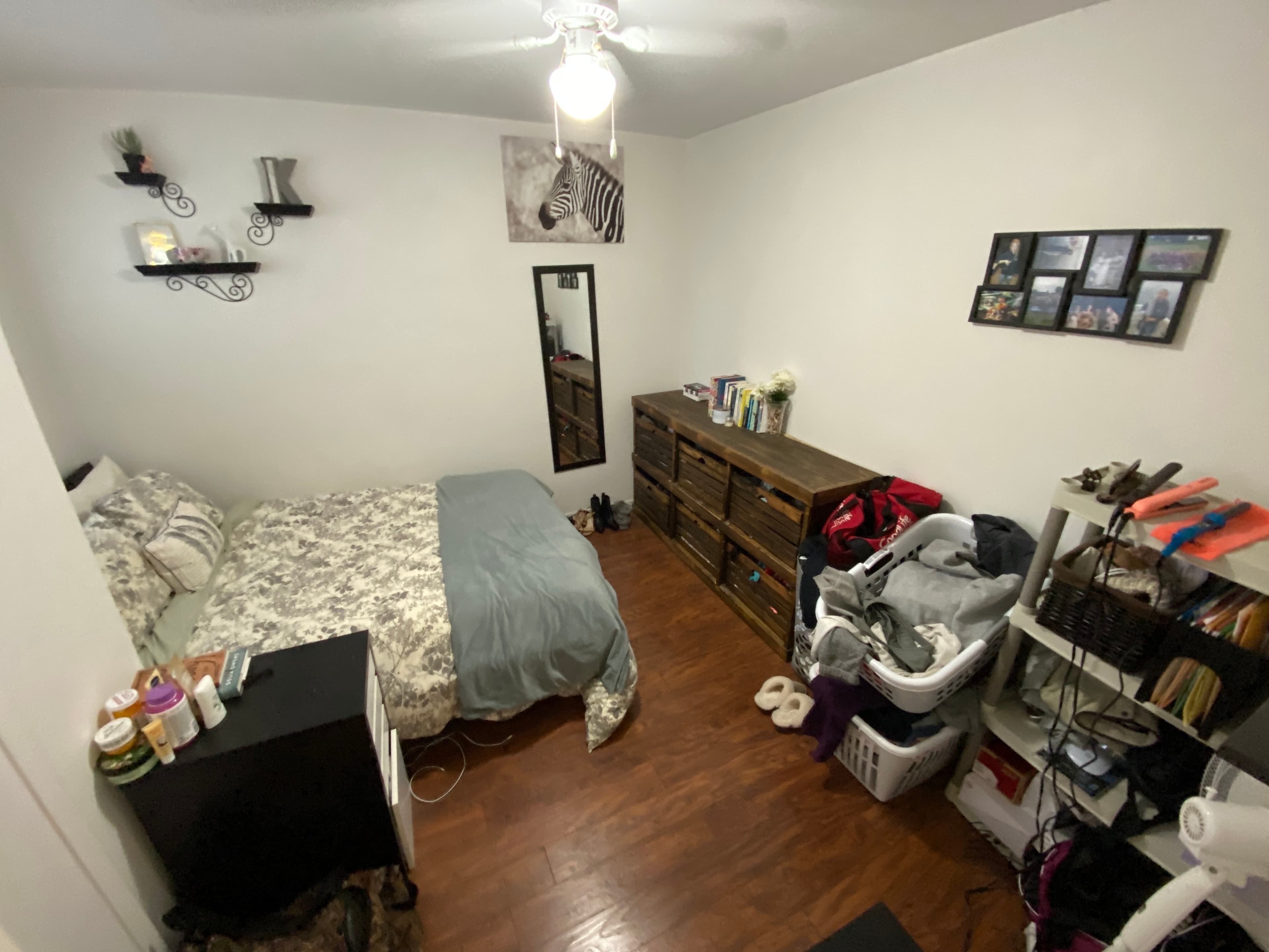 Axon Property Management — 1 - Photo 2