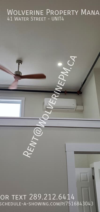 The Palace Apartments — Apt3 - Photo 15