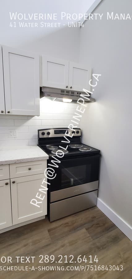 The Palace Apartments — Apt3 - Photo 10