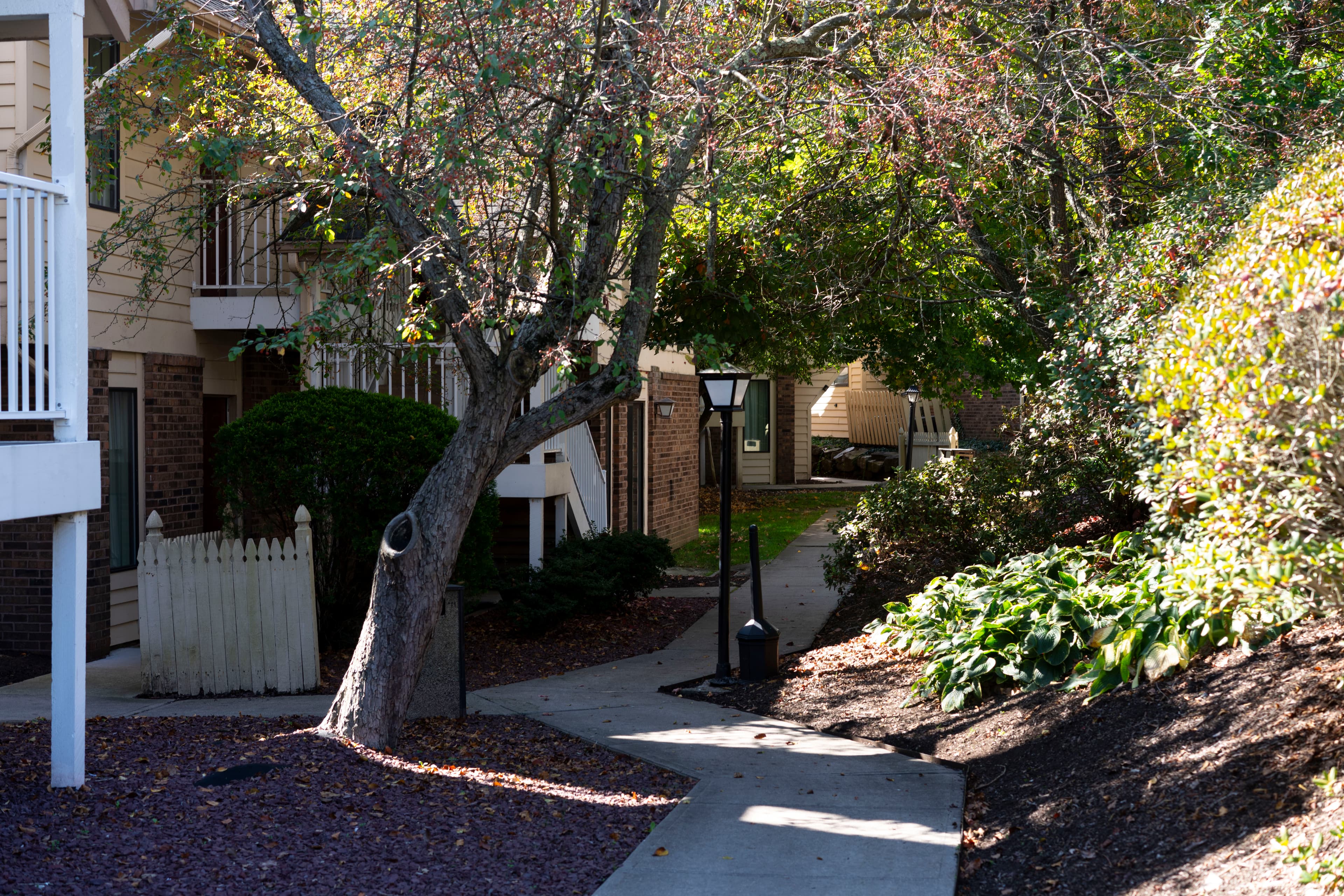The Shelton Grove — 1114 - Photo 23
