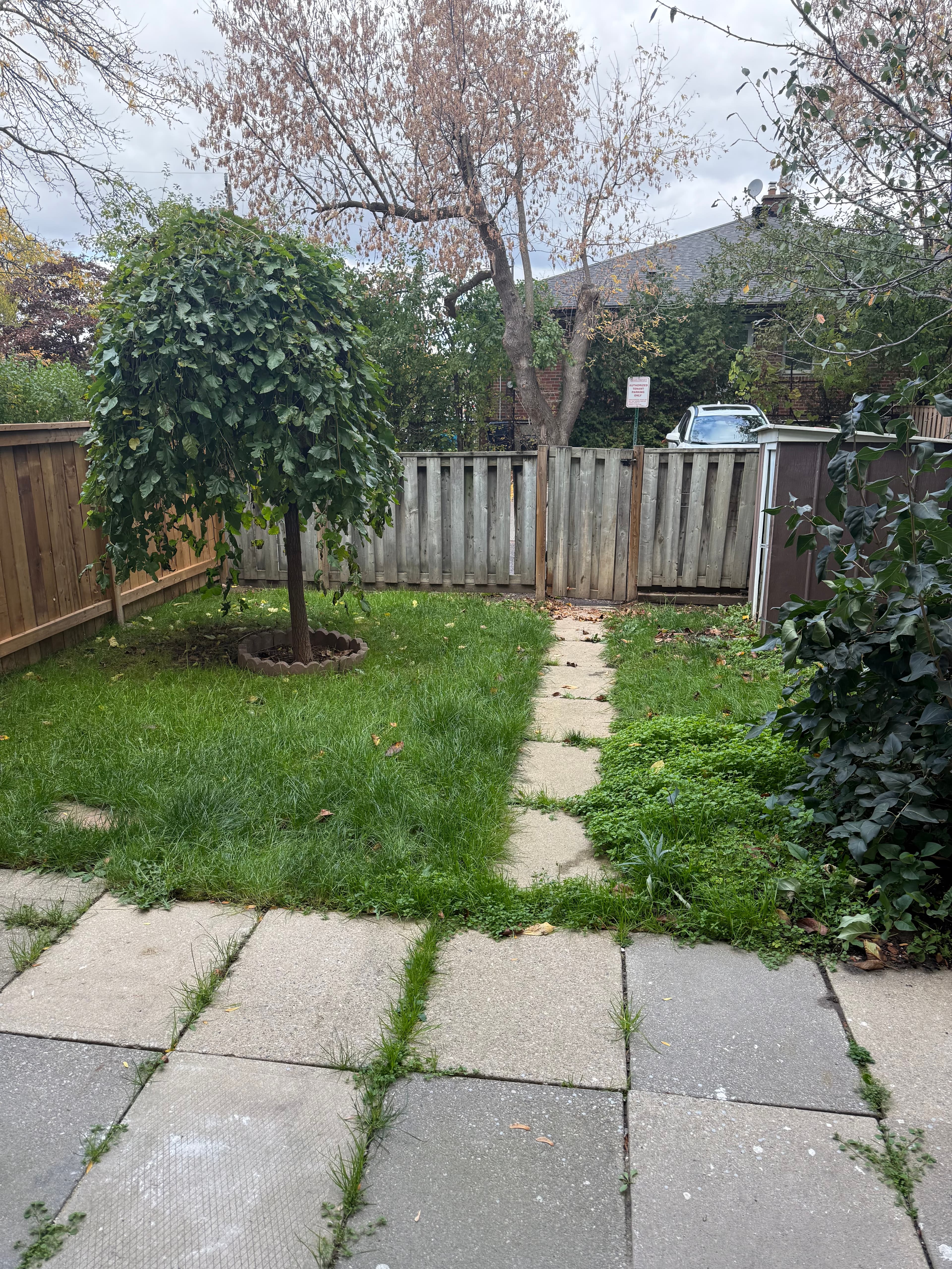 Gowan PM — 2 Bedroom - Photo 6