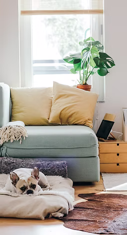 Strategic Group — One Bedroom - Photo 9