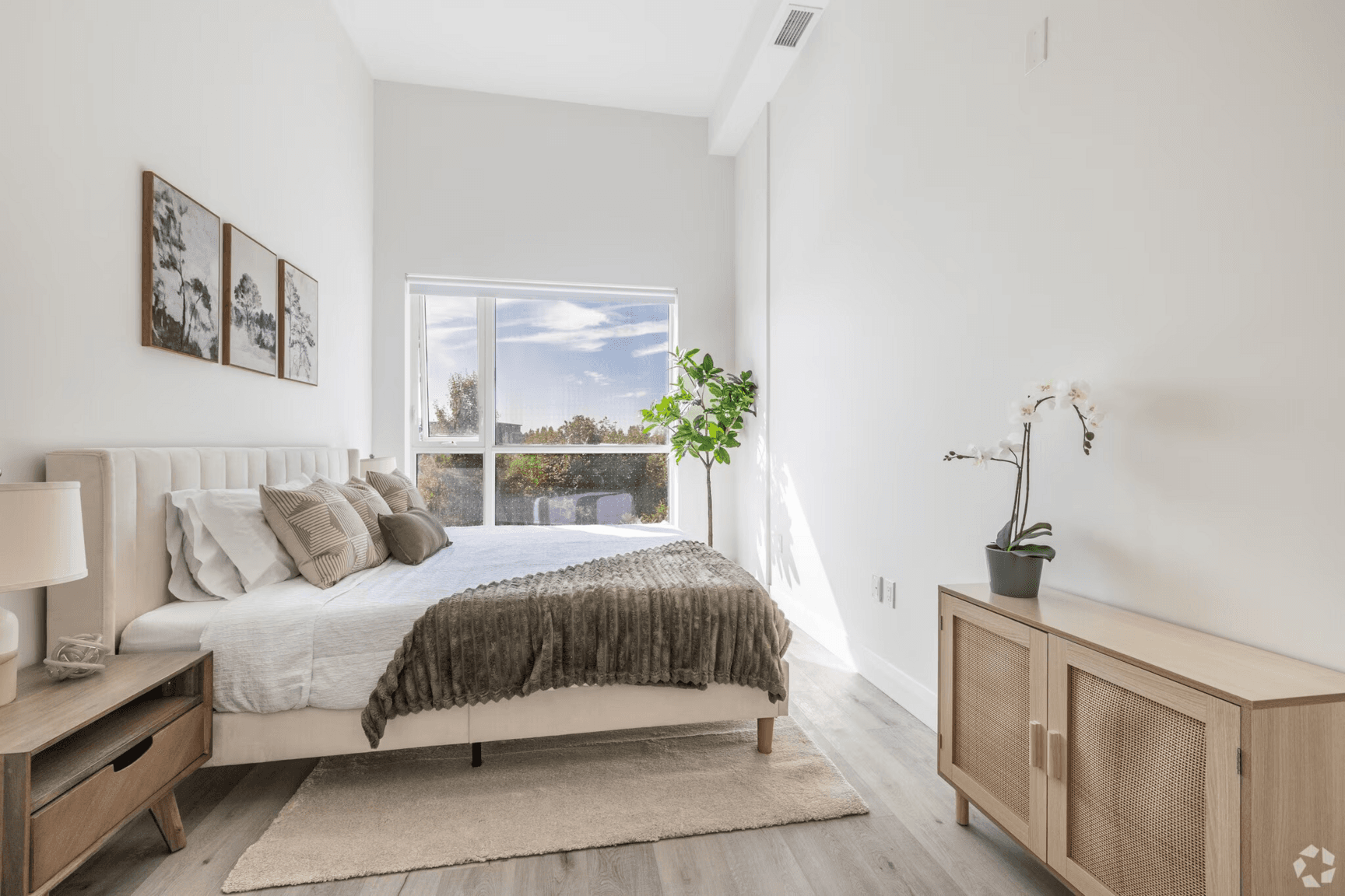 Bayview Group — 1 - Photo 6