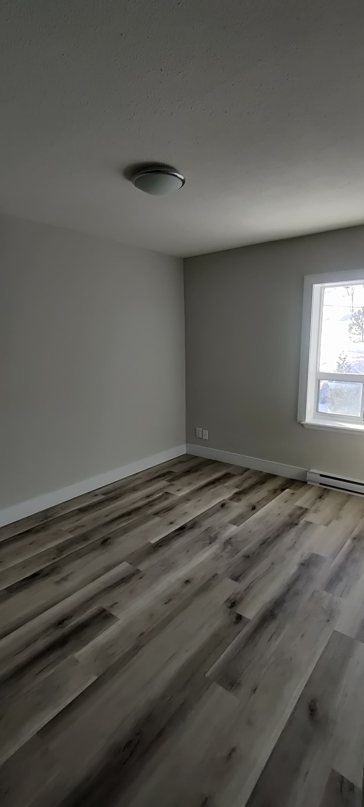 Whitehall Apartments - Photo 9