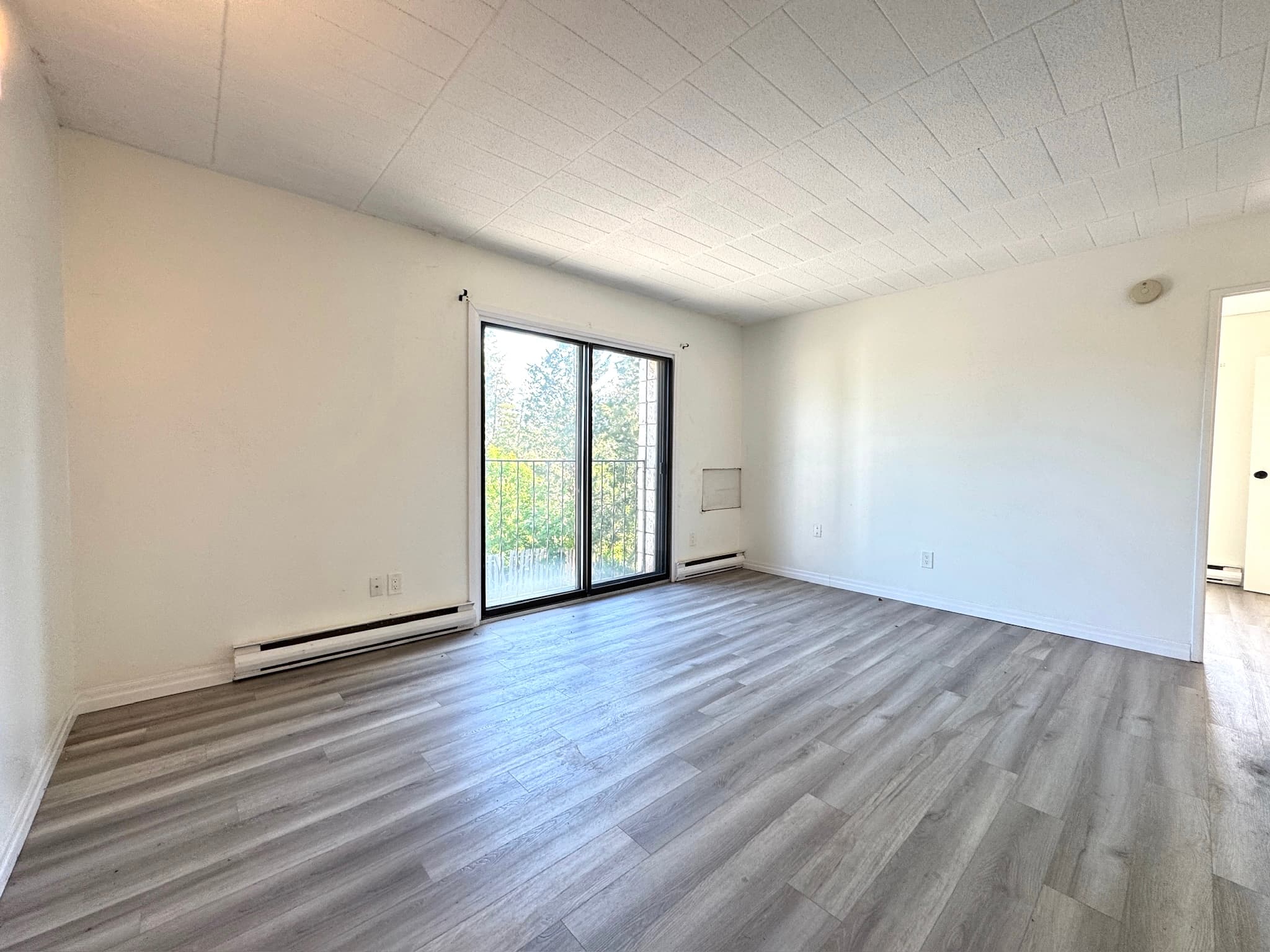 Whitehall Apartments — 103 - Photo 2
