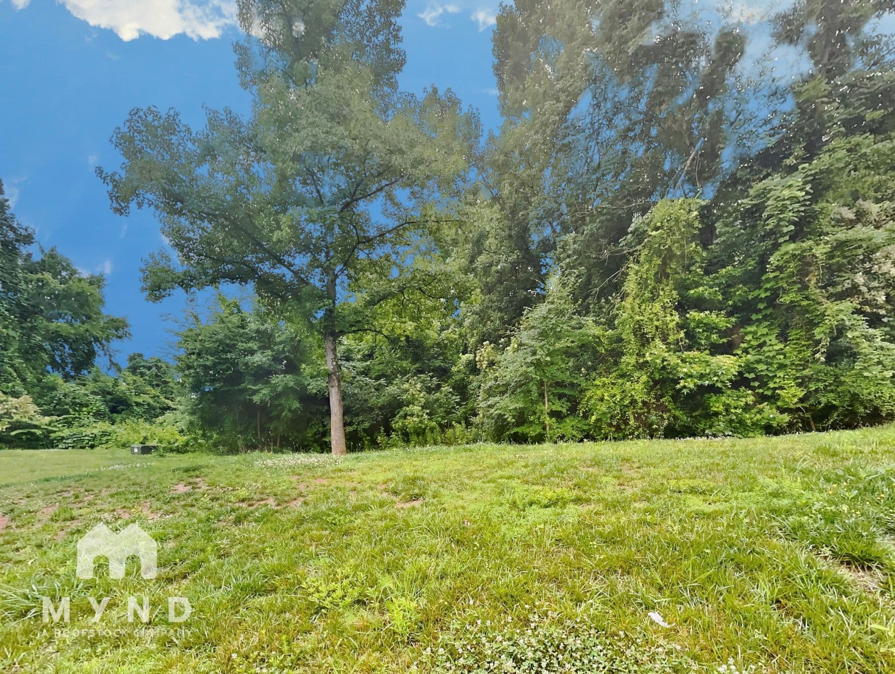 MYND - Photo 21