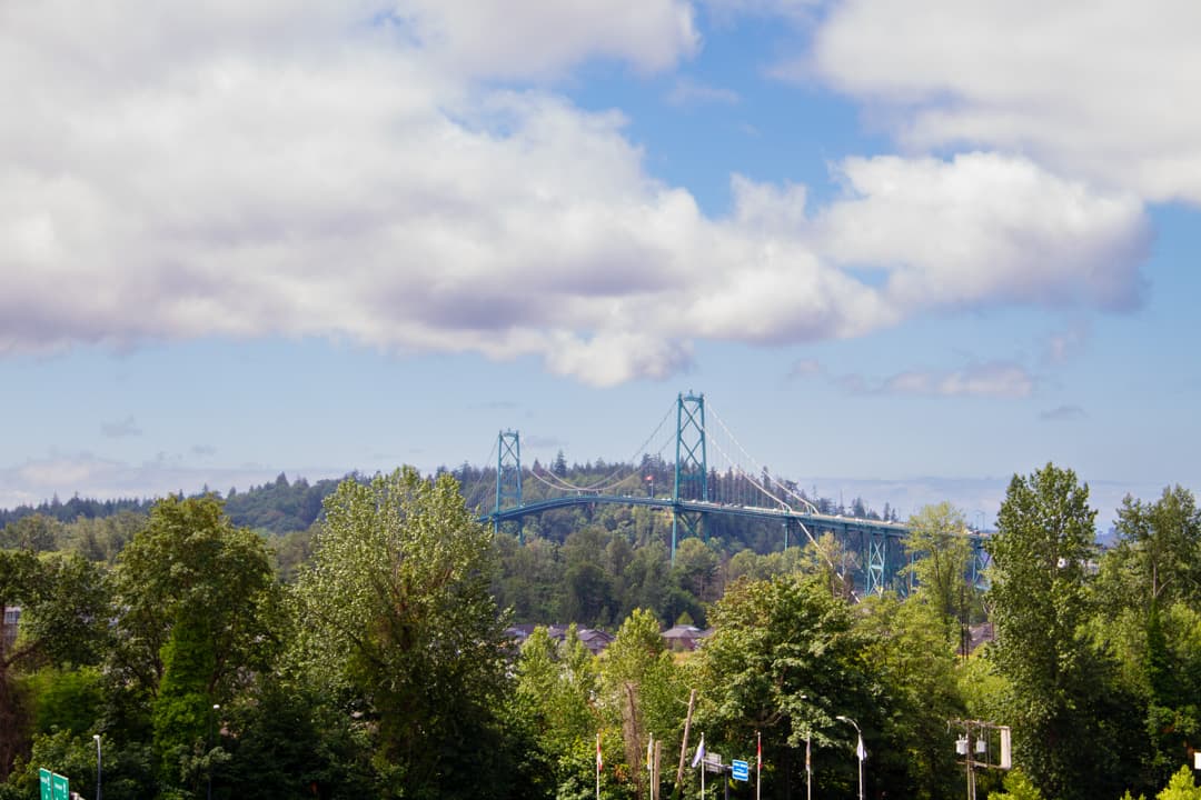 Maple Leaf PM — 1 - Photo 85