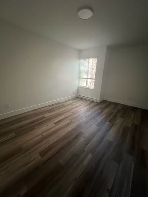 Carrera Management Corp. — 104 - Photo 24
