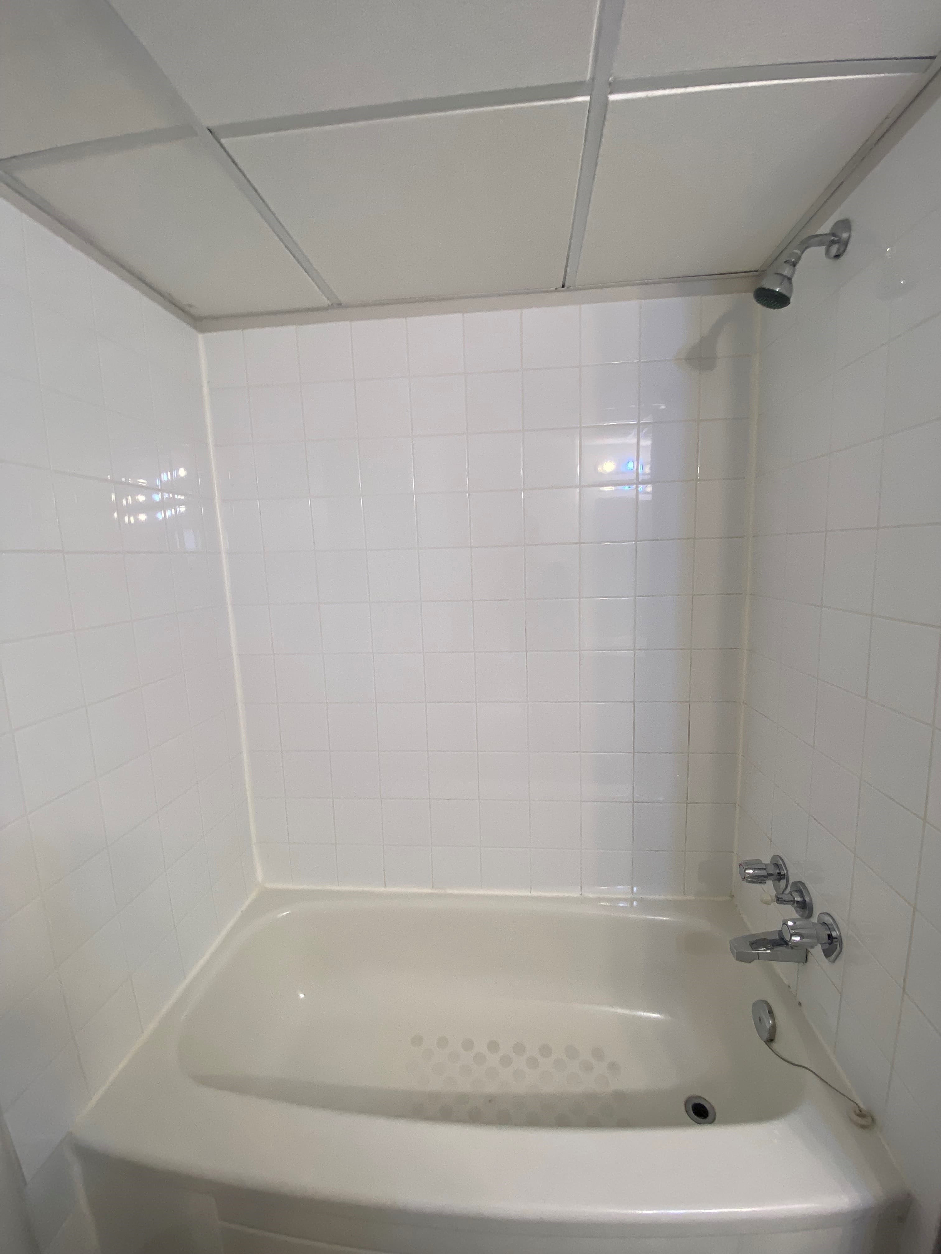 Urchin Property Management Inc. — 105 - Photo 8