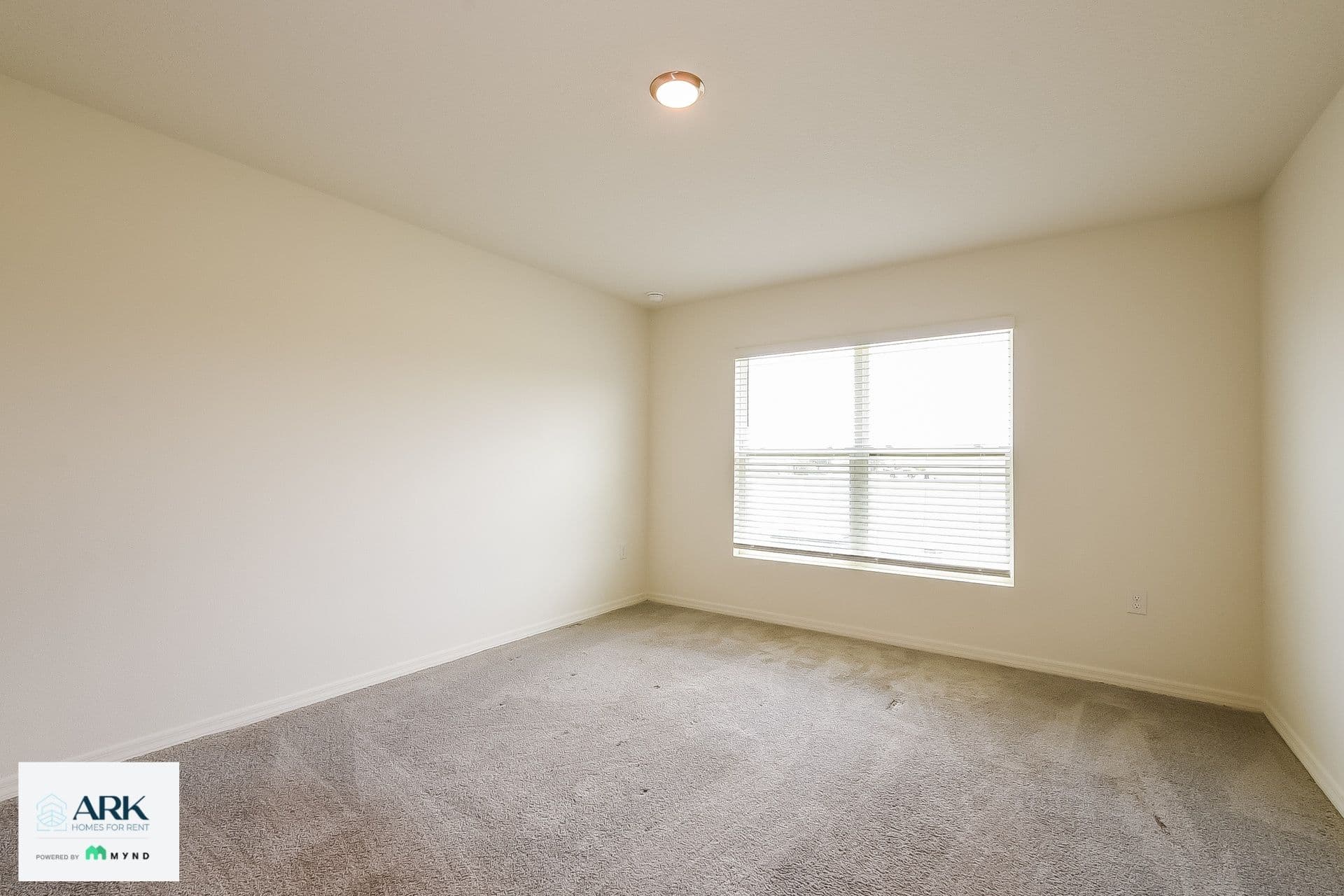 MYND - Photo 11