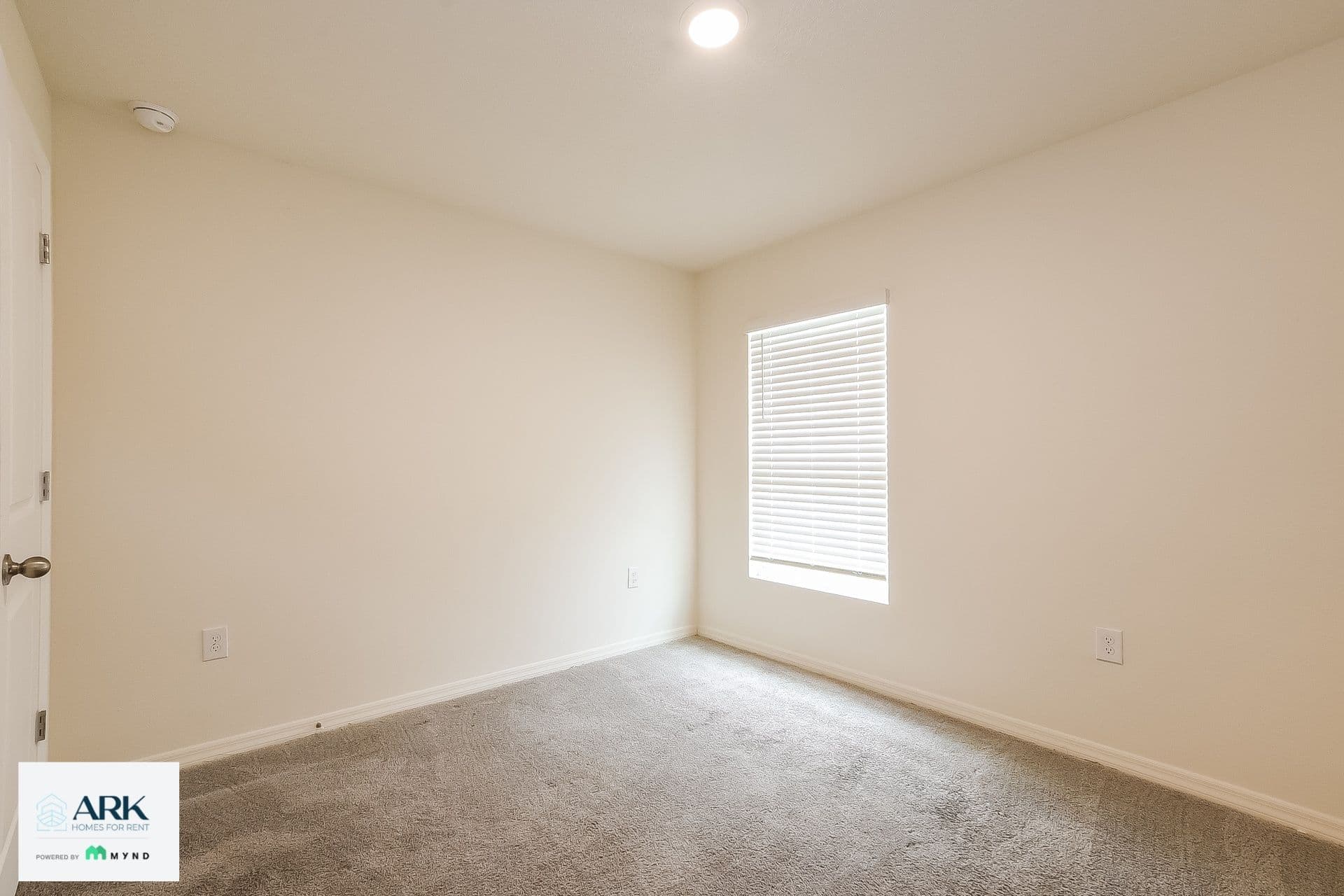 MYND - Photo 15