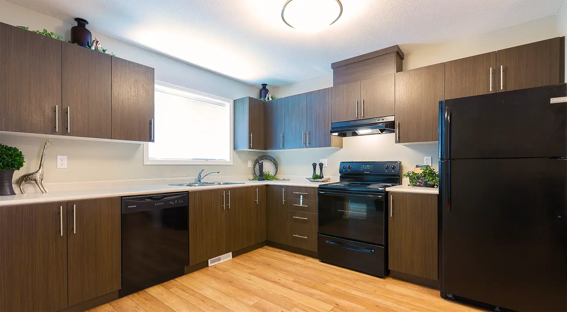 Birch Hills Townhomes — Three Bedroom 1.5 Bath - Photo 5