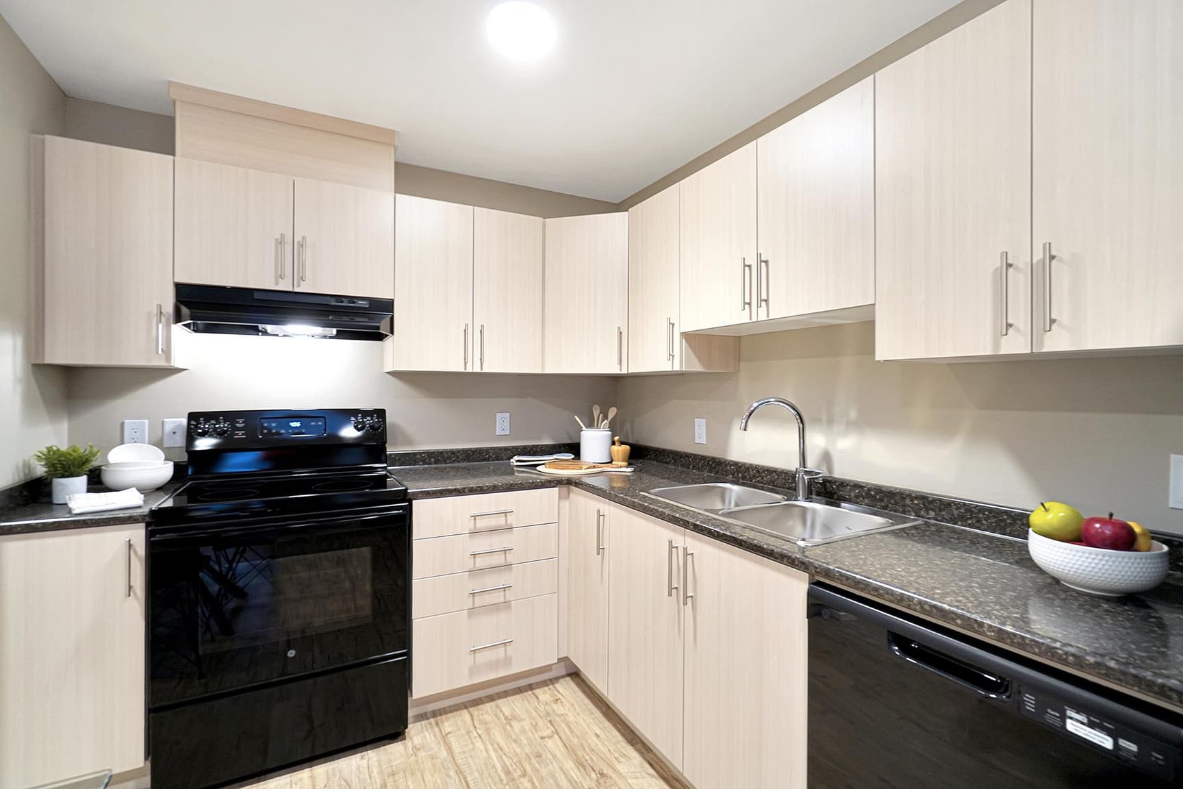 College Heights Apartments — One Bedroom One Bath - Photo 3