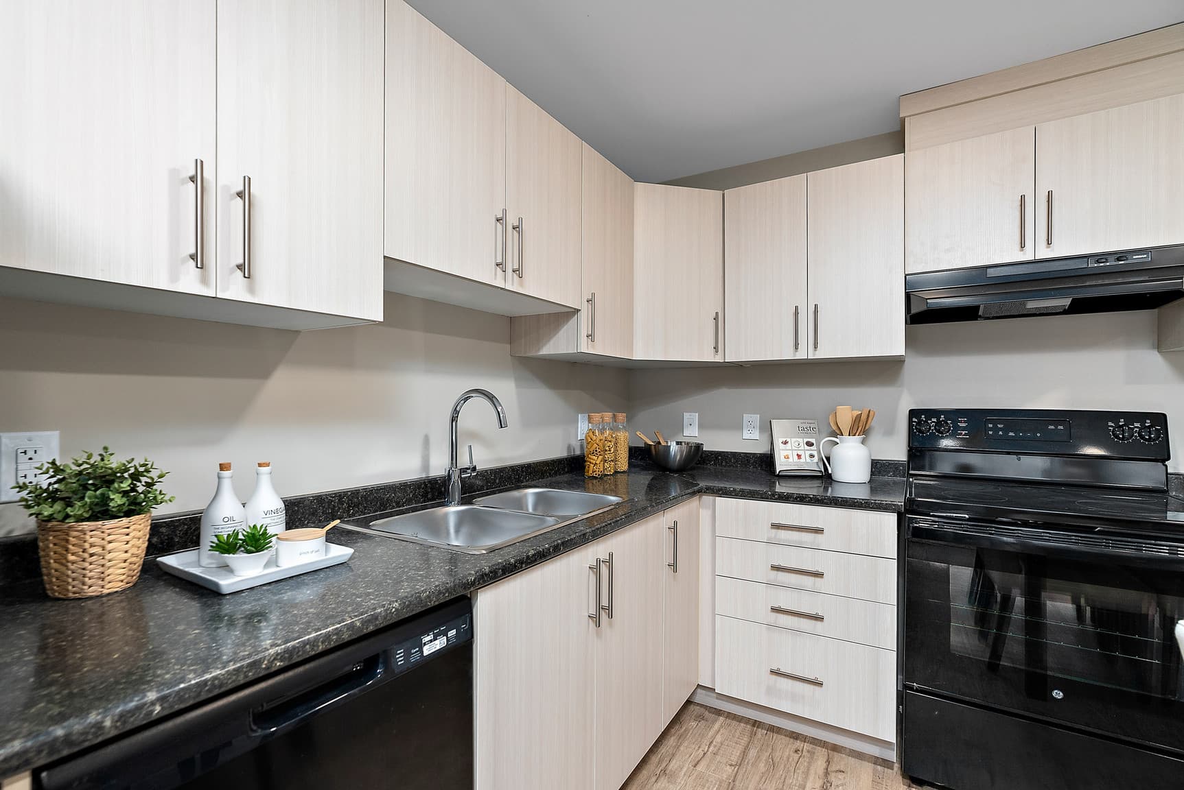 Jardin Apartments — Two Bedroom One Bath - Photo 6