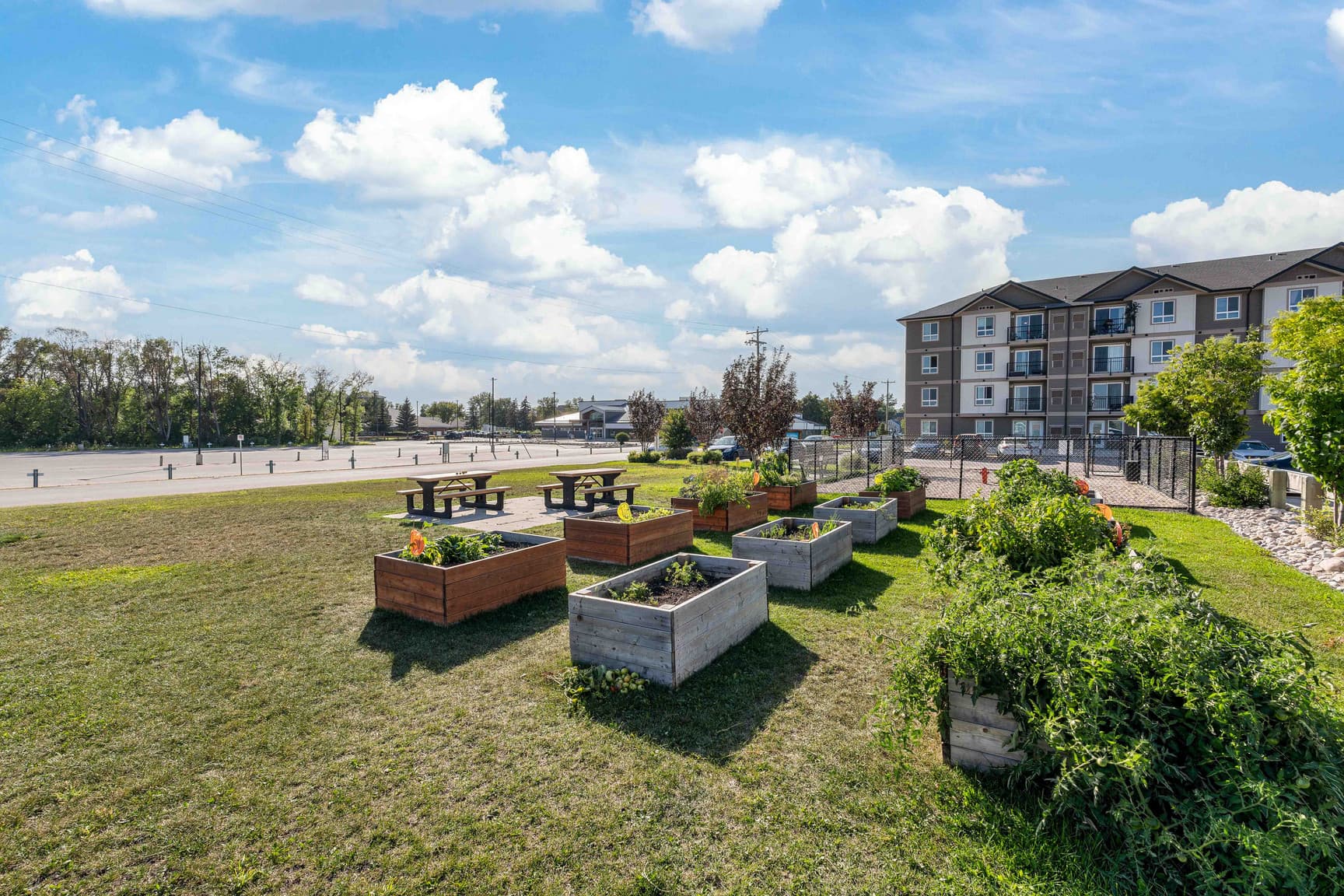Dufferin Landing — One Bedroom One Bath - Photo 6
