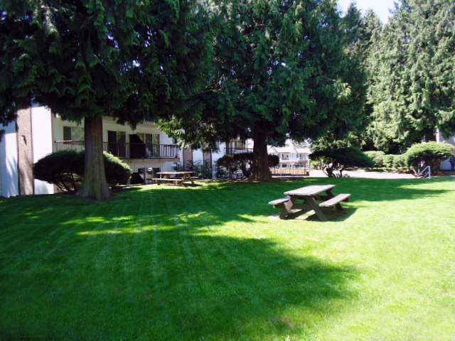 Villa Vista Apartments — Bachelor - Photo 3