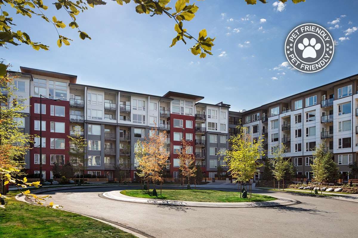 Fraser Flats Apartments — apartment/condo - Photo 12