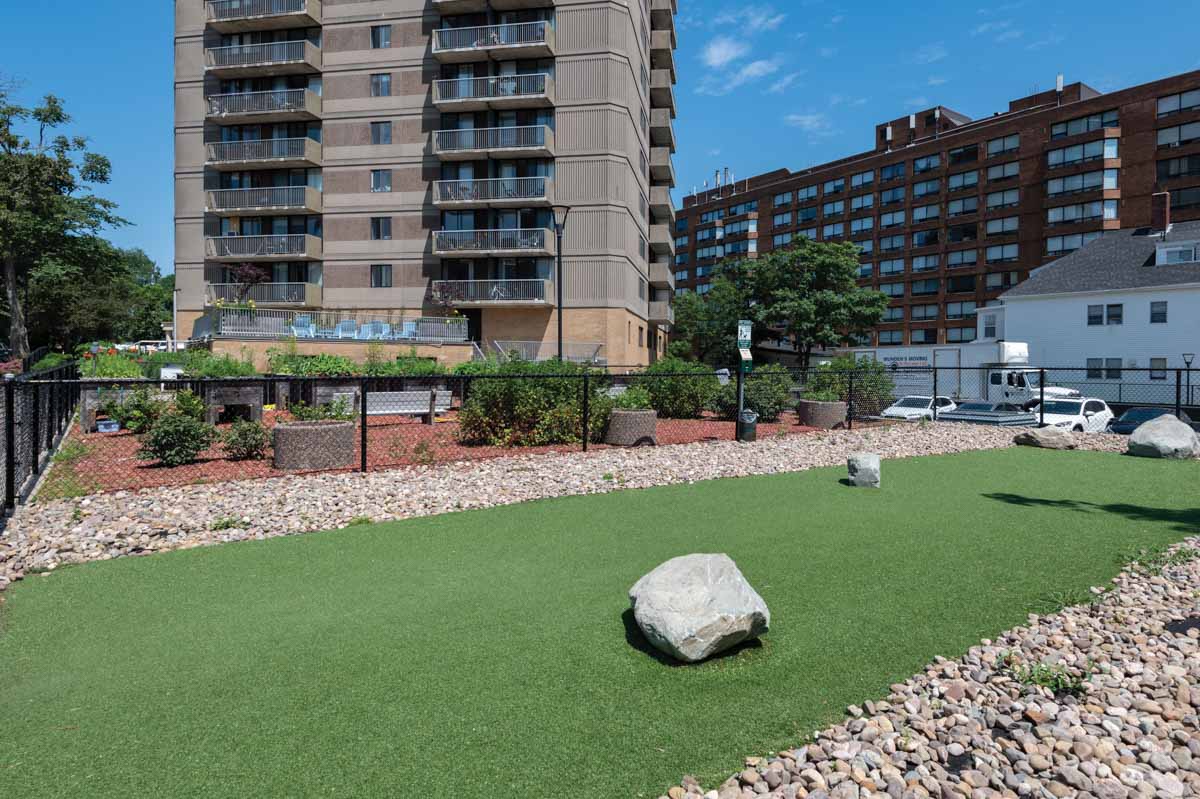 Spring Garden - Photo 19
