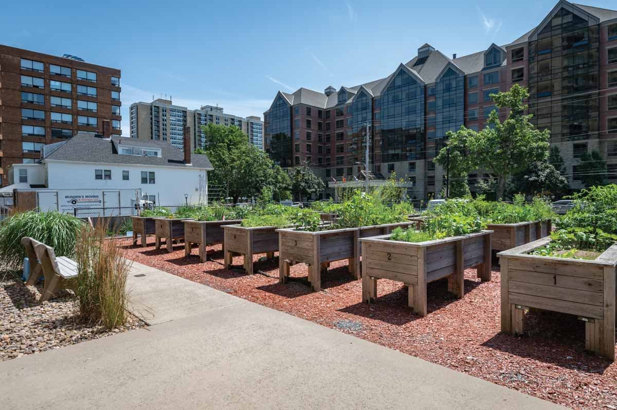 Spring Garden - Photo 18