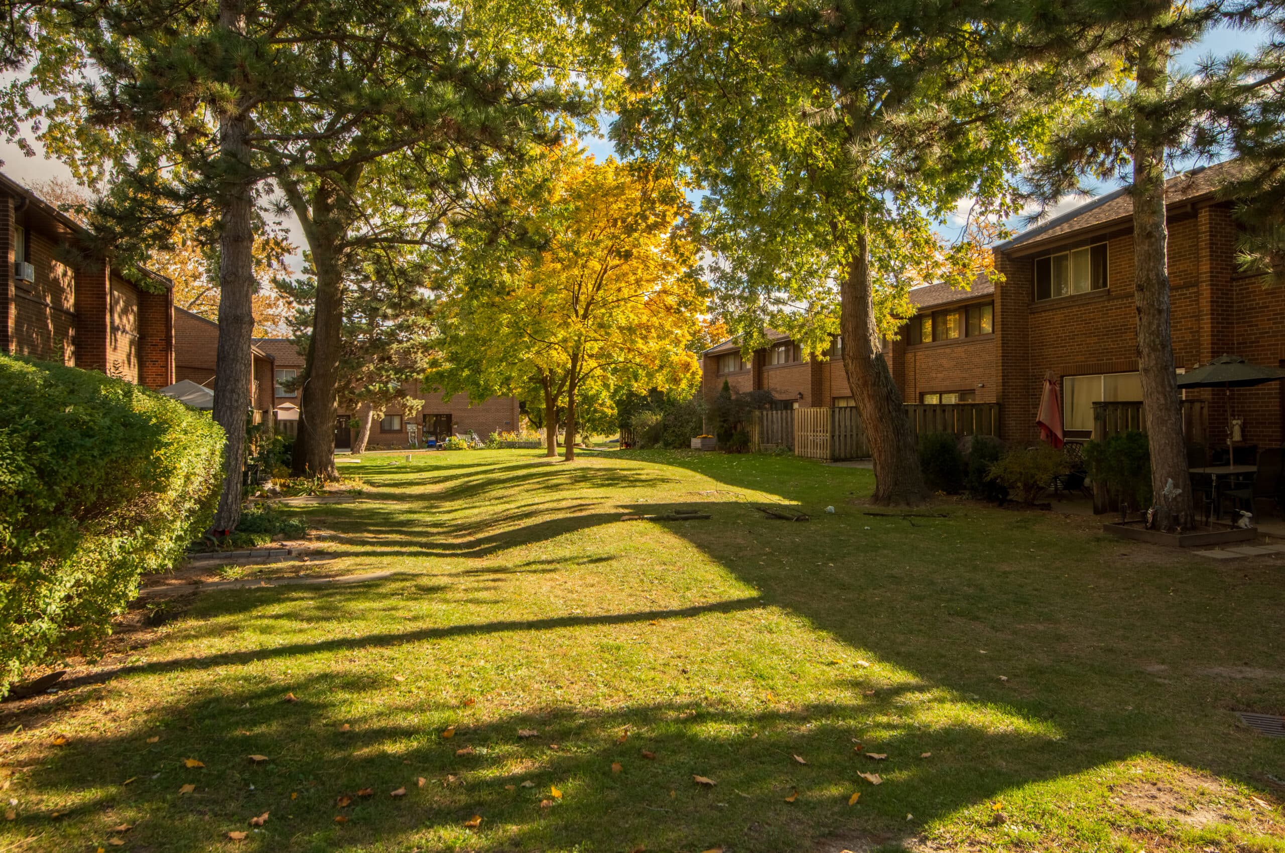 Silverstone Townhomes - Photo 4