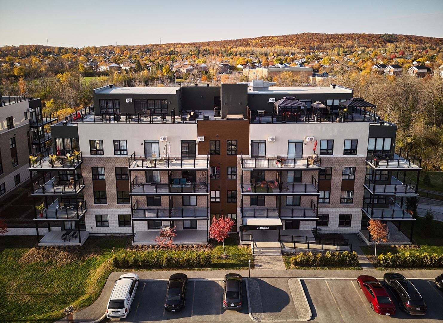 Horizon — 1 Bedroom - Photo 2