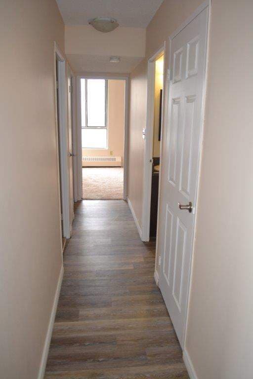 Willow Glen Apartments — 2 Bedroom - Photo 9