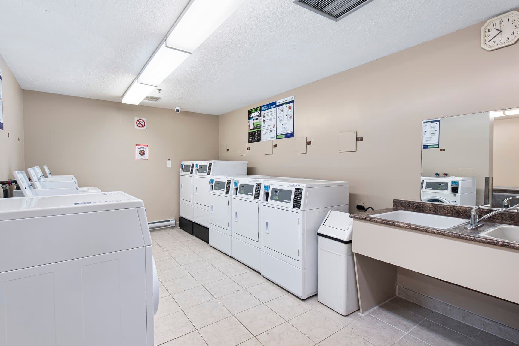 Green Meadows Apartments — Bachelor - Photo 9