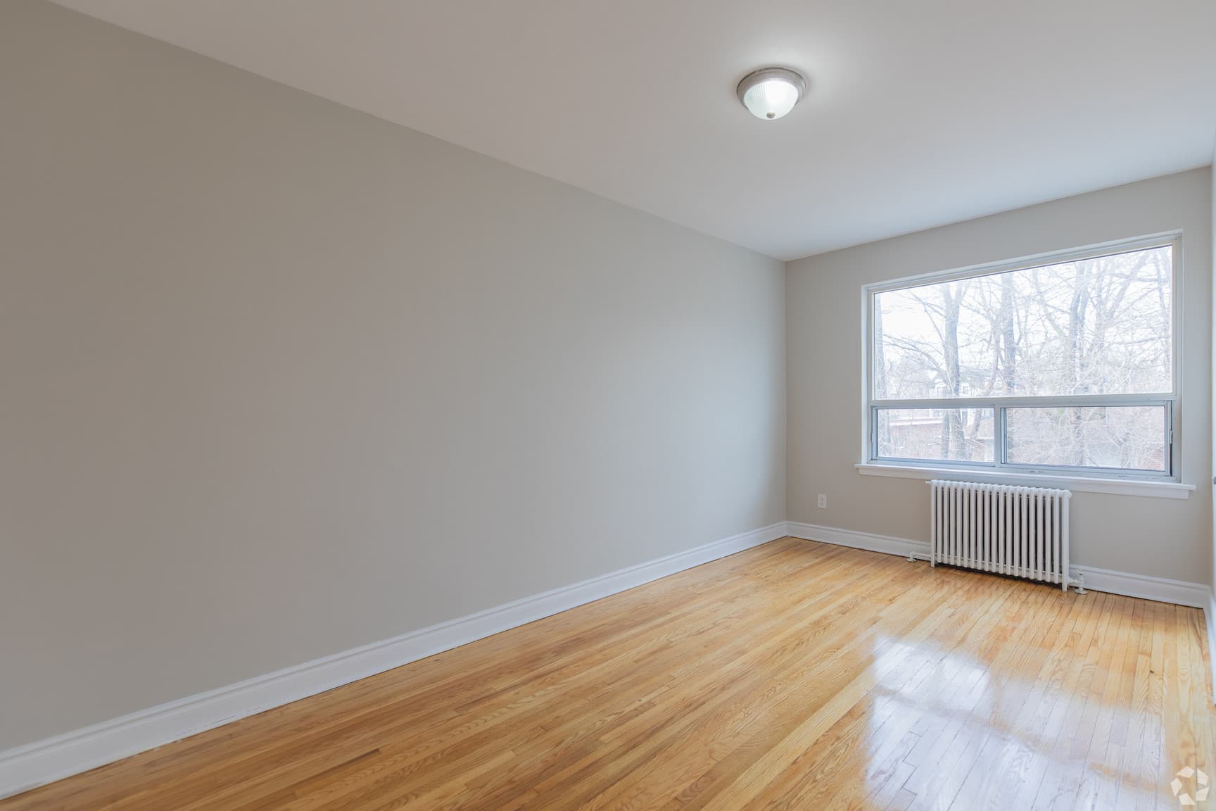Rosseau Road Inc. — 1 Bedroom - Photo 26