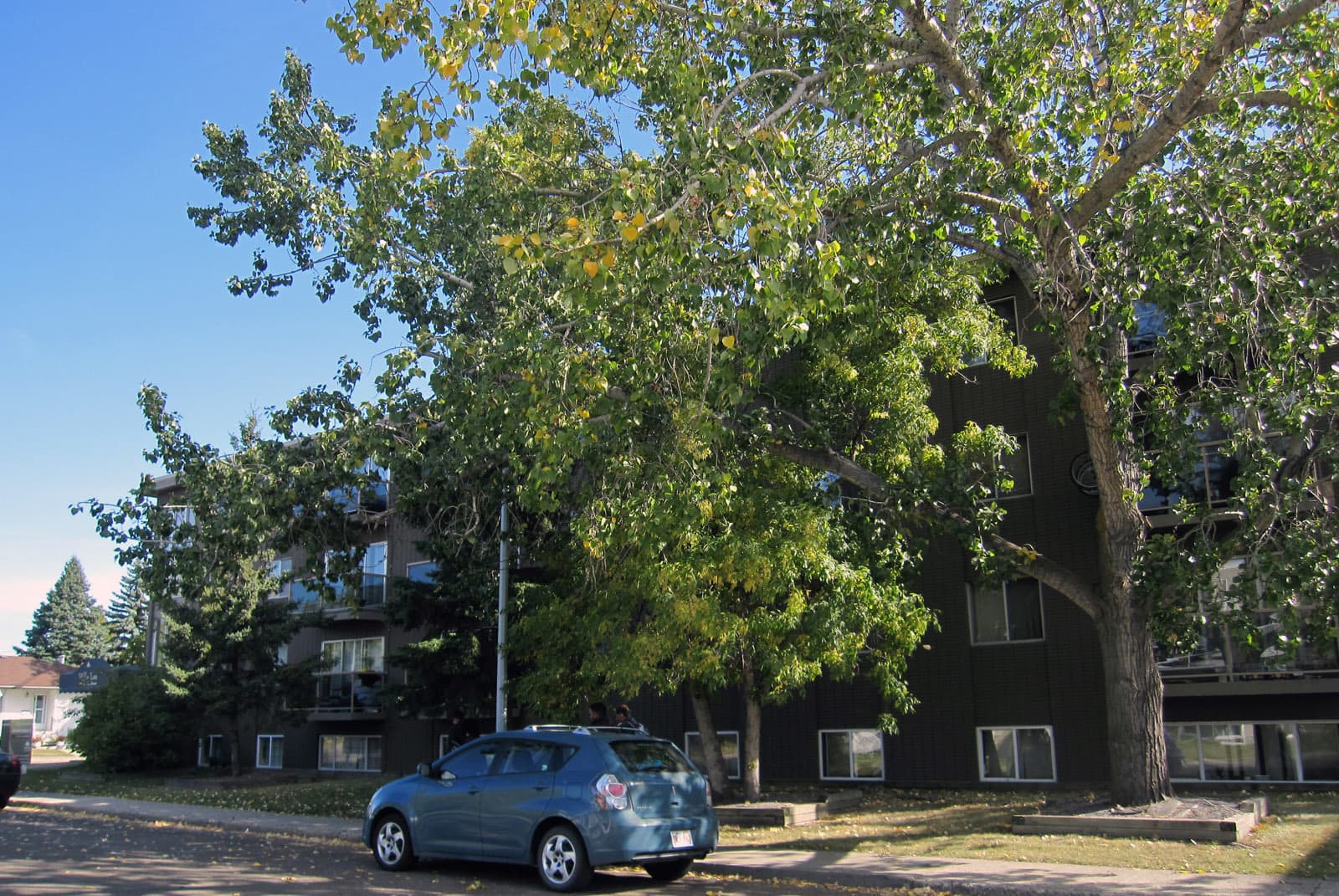 Oasis Apartments — Bachelor - Photo 6