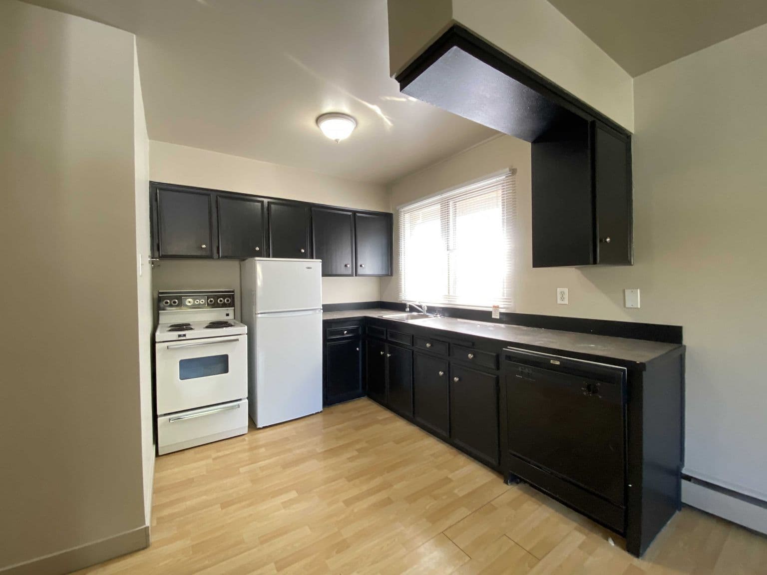 Mount Royal Apartments — 1 bedroom - Photo 3