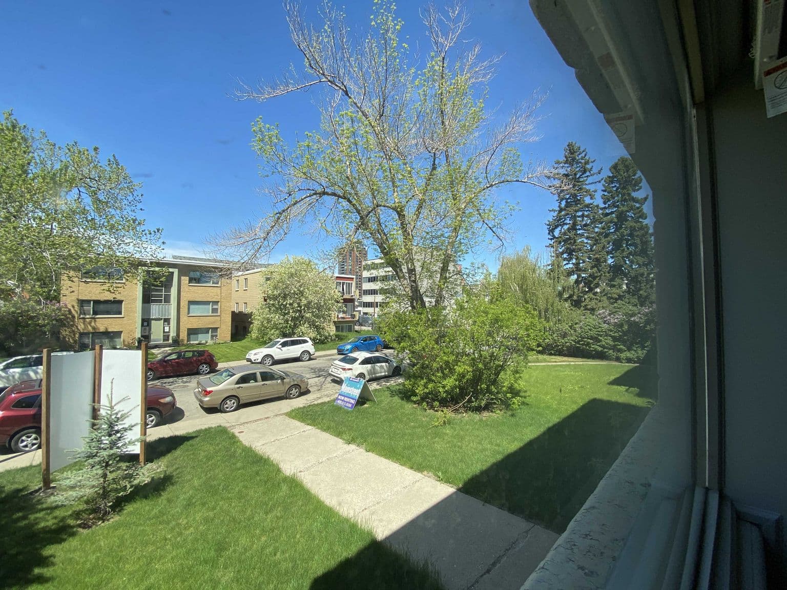 Mount Royal Apartments — 1 bedroom - Photo 6