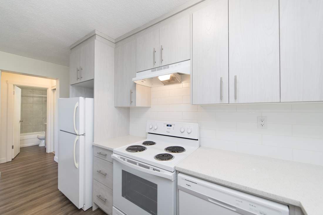 Mission Apartments — 1 bedroom - Photo 3