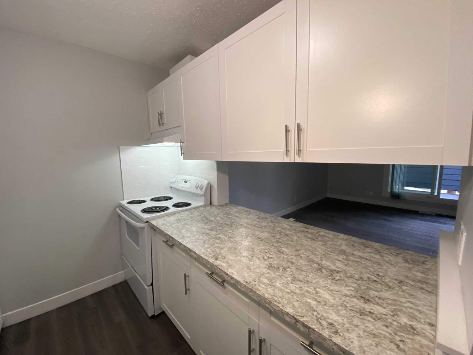 Queen's Park Townhomes — 2 bedroom - Photo 10