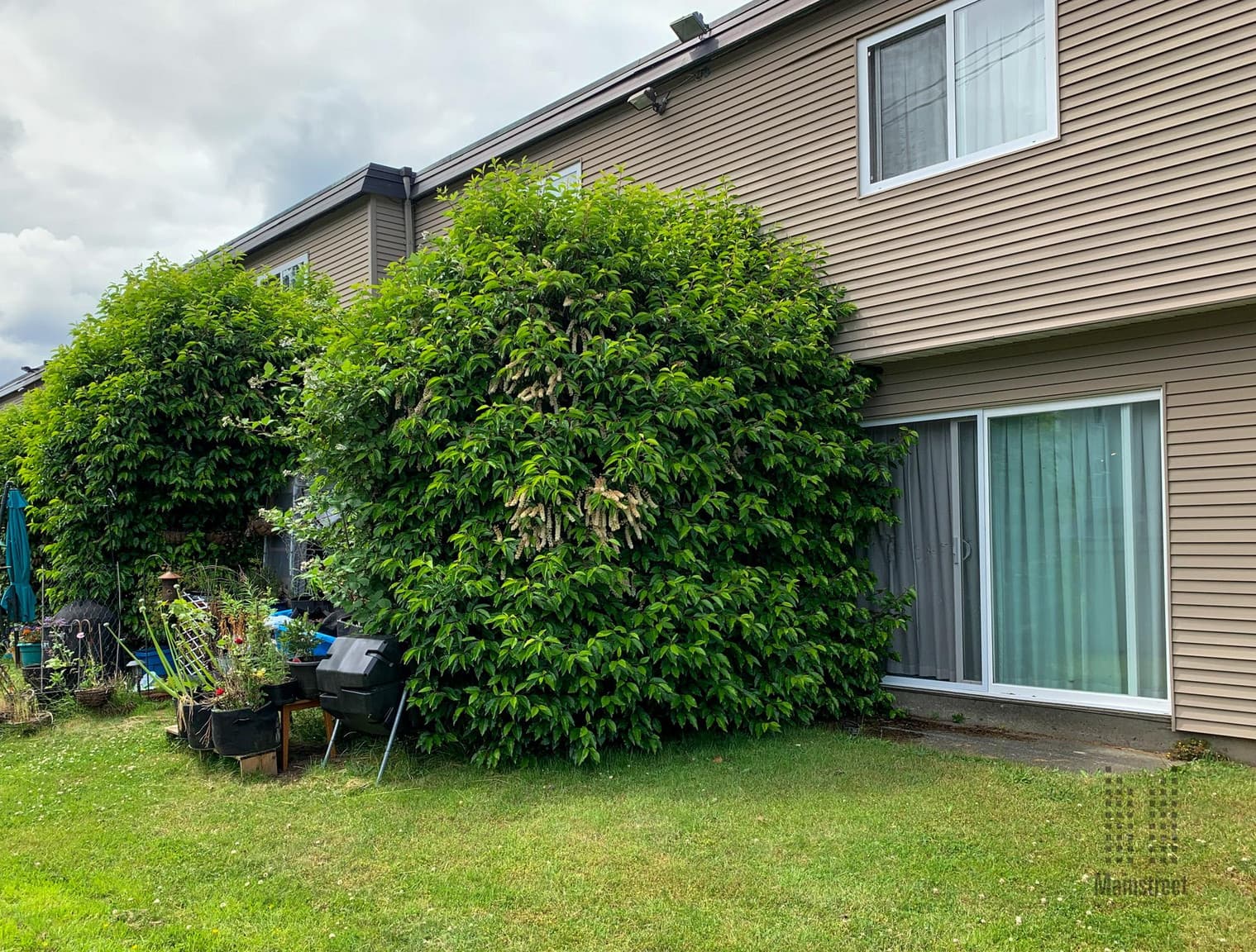 Mainstreet Garden Townhomes — 4 Bedroom - Photo 3
