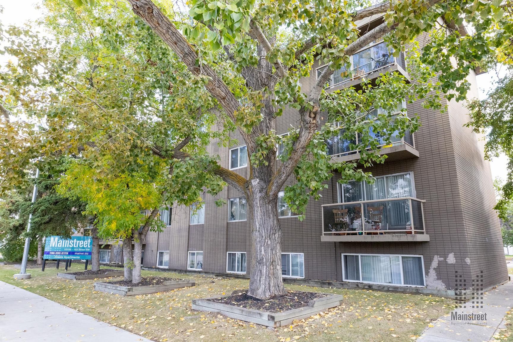 Oasis Apartments — Bachelor - Photo 15