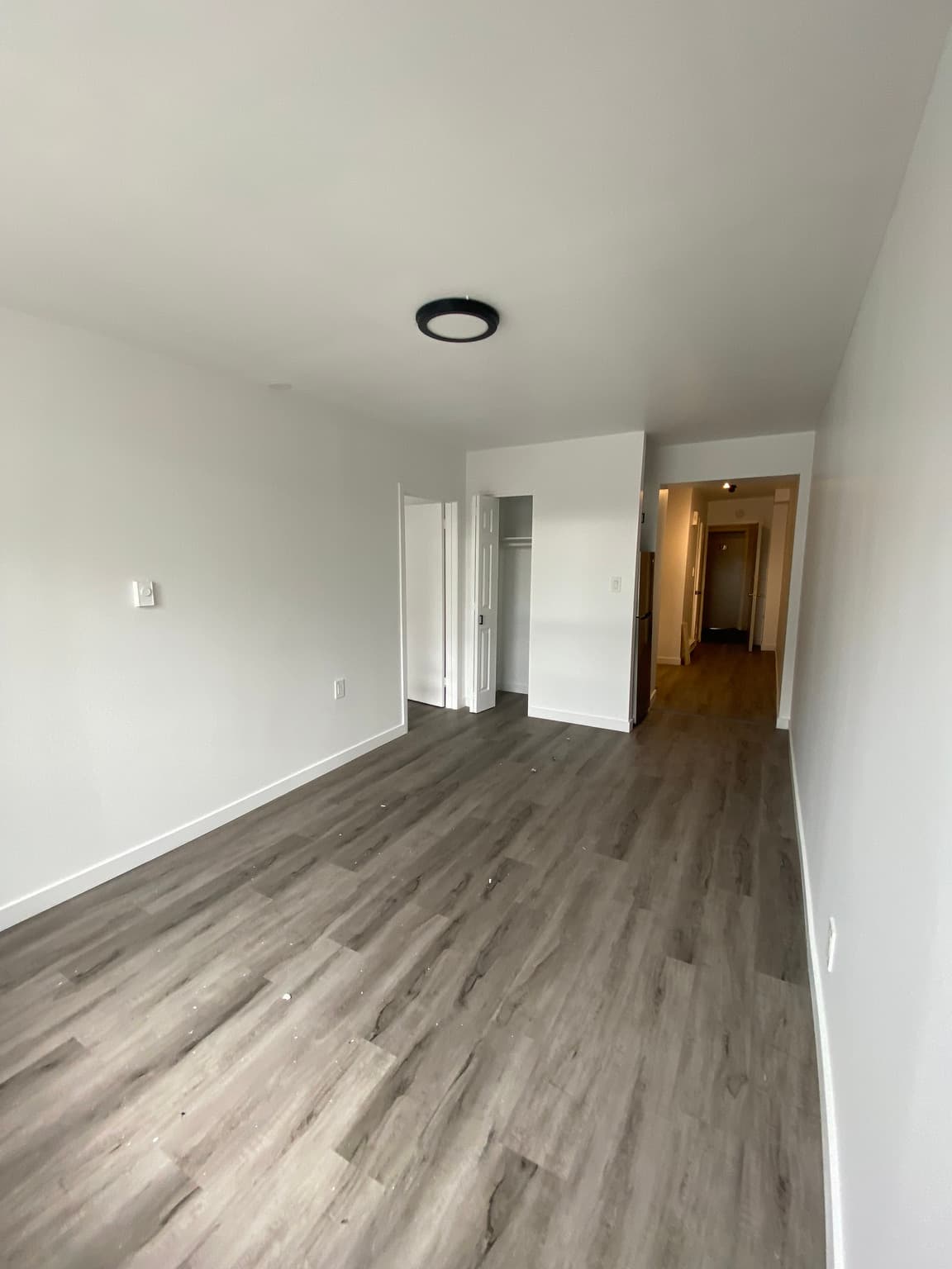 229 Carlton Street — Junior 1 Bedroom - Photo 4