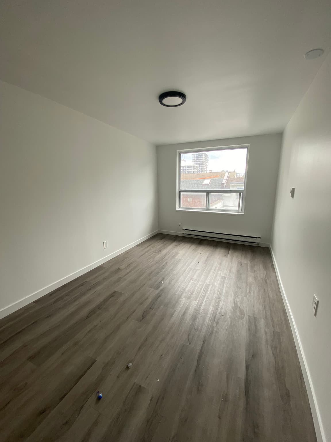 229 Carlton Street — Junior 1 Bedroom - Photo 3