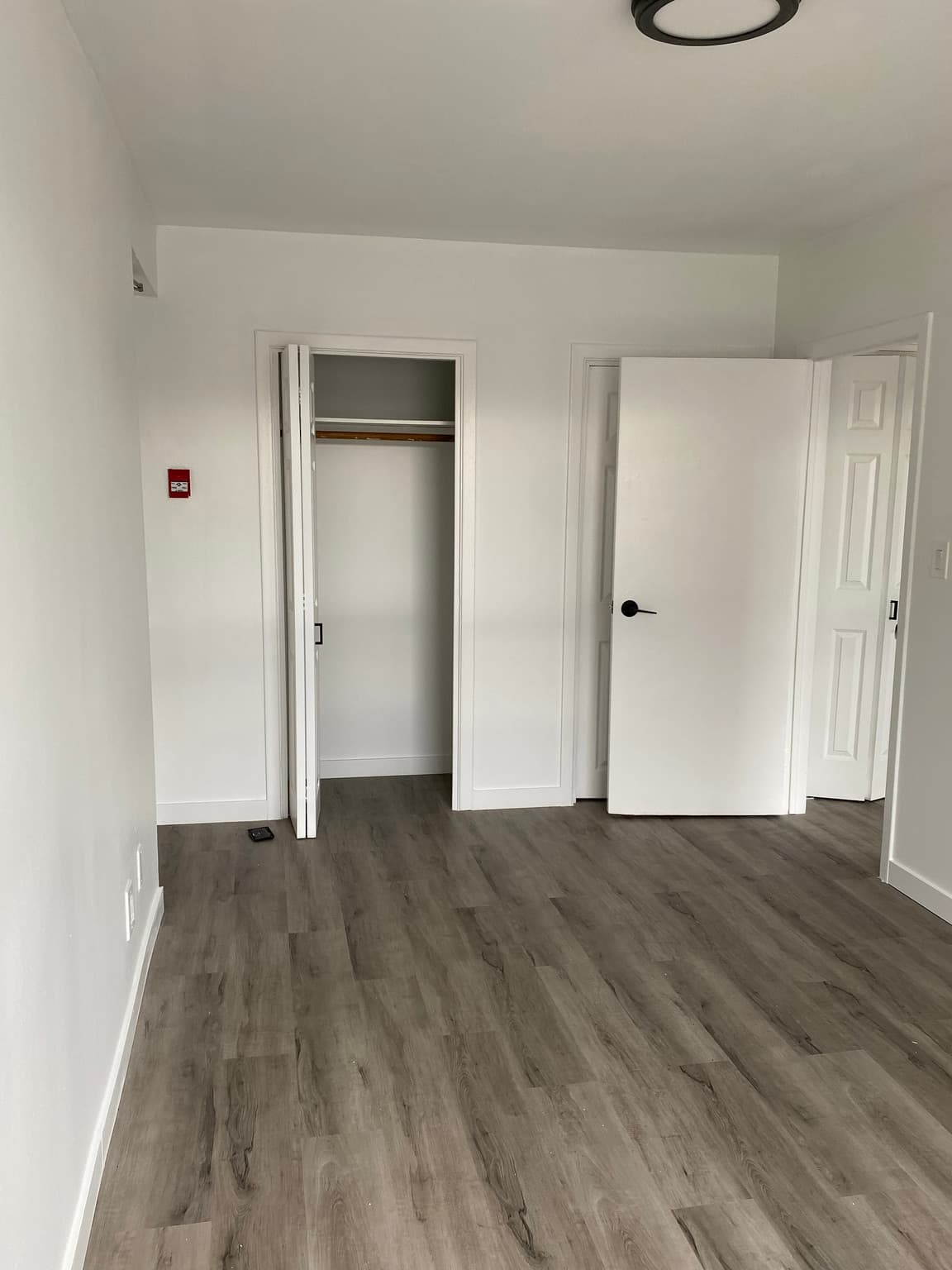 229 Carlton Street — Junior 1 Bedroom - Photo 2