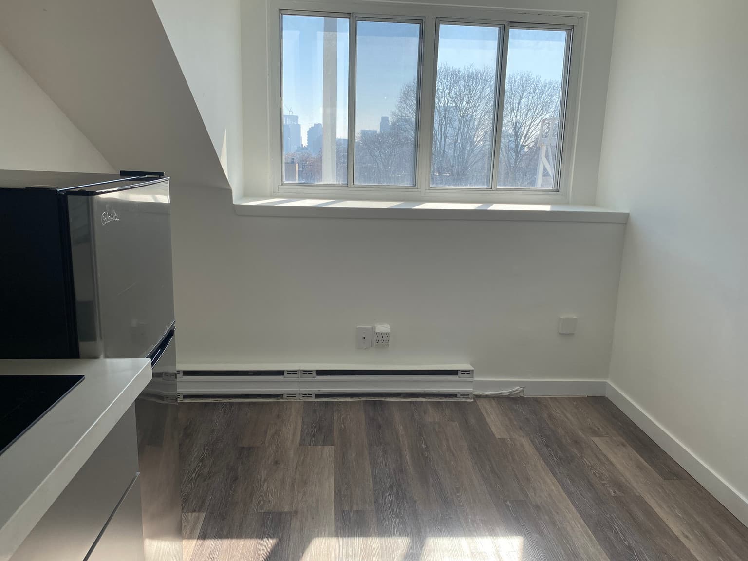 229 Carlton Street — Junior 1 Bedroom - Photo 9
