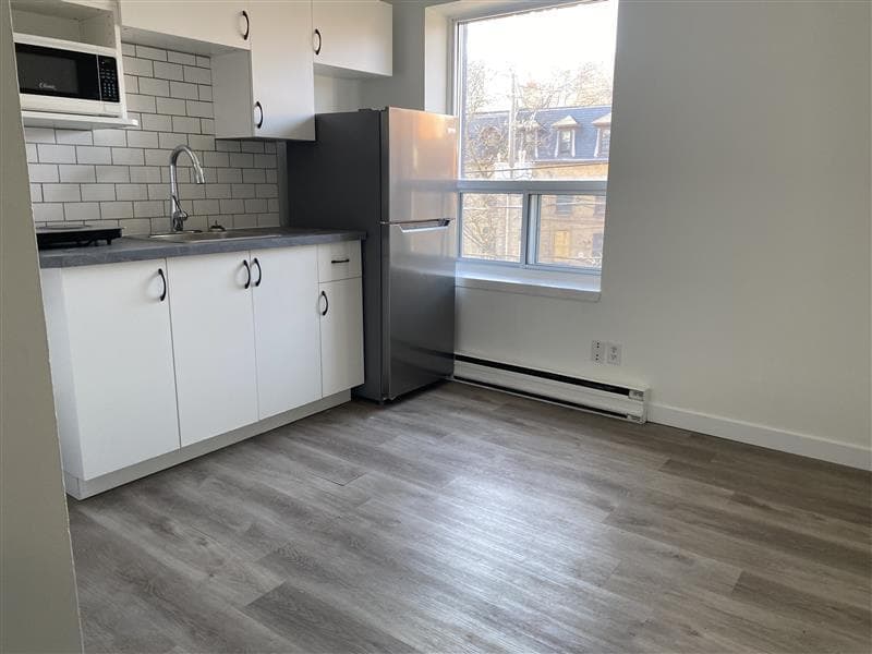 229 Carlton Street — Junior 1 Bedroom - Photo 16