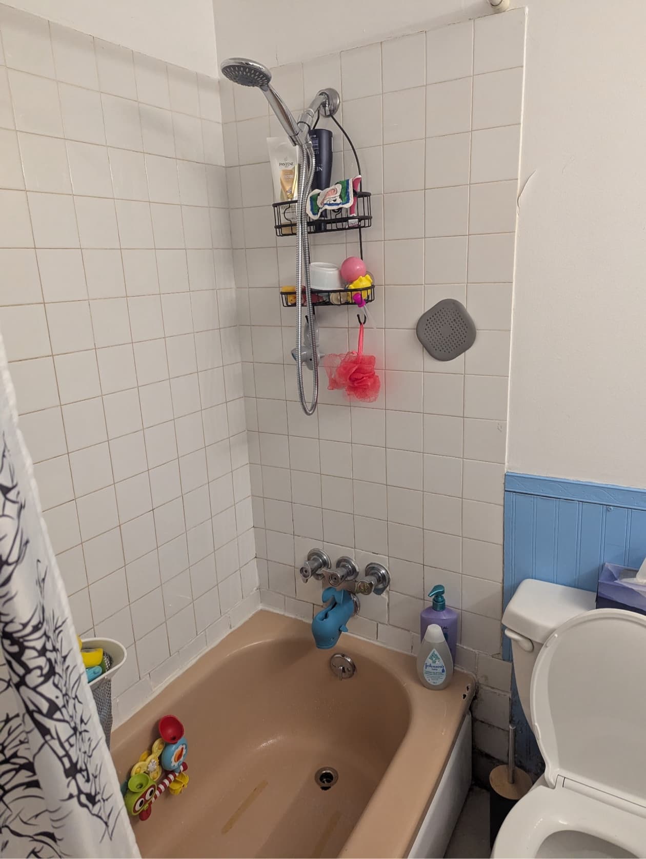 Bright 1-Bed with Private Balcony in Fairview — Available Nov 1 - Photo 10