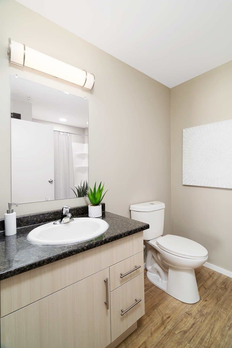 Courtview Landing — Three Bedroom Two Bath - Photo 13
