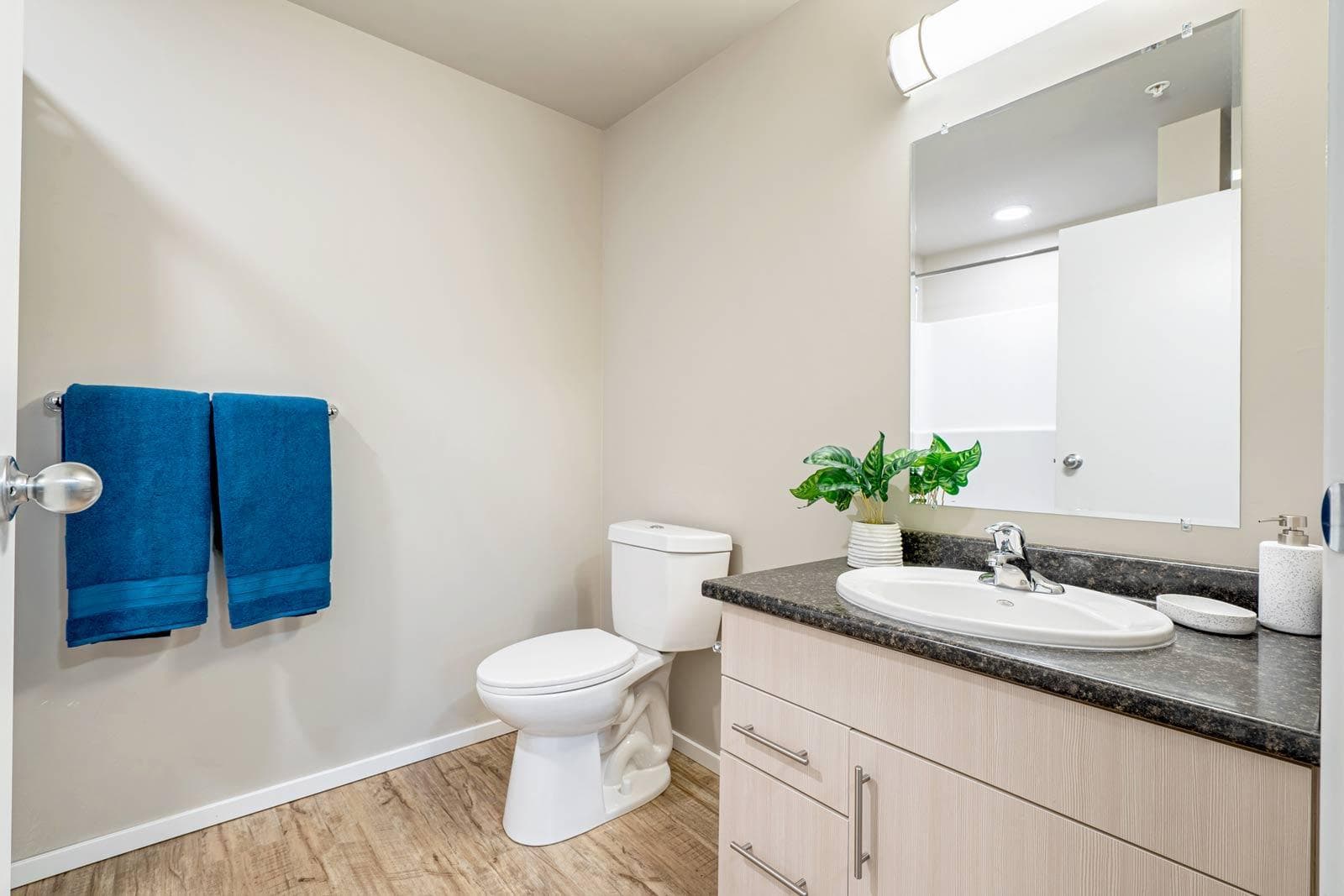 Willows Crossing — One Bedroom One Bath - Photo 17